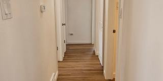 Lakewood Best Ever 3/2 Duplex All New Inside w/ Fenced Yard Gallery 21