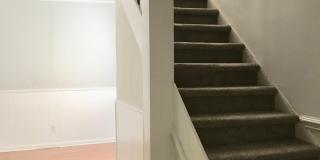 Olympia Gallery 16