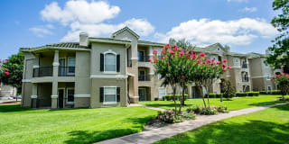 Chandler Park Apartment Homes Gallery 6