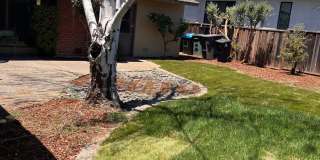 4 bed 2 bath house available now! Gallery 13