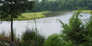 256 Misty Point Lane Gallery 4
