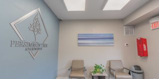 Persimmon Tree Gallery 2