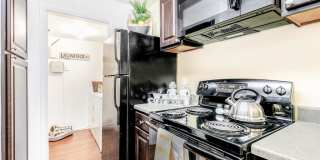 Landmark at Wynton Pointe Apartment Homes Landmark at Wynton Pointe Apartment Homes Gallery 6