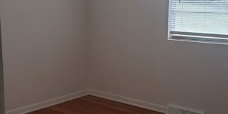 Golden opportunity! Gallery 8