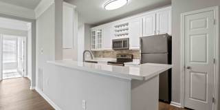 Lake Clearwater Gallery 59