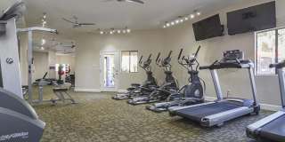 Stonebridge at Paradise Valley Gallery 20