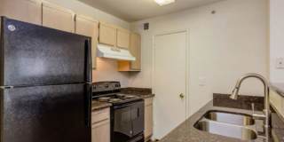 5055 Von Scheele Dr, #610 Gallery 5