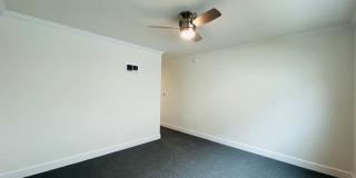 vet182 Gallery 14