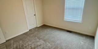 260 Winter Shadow Loop Gallery 50