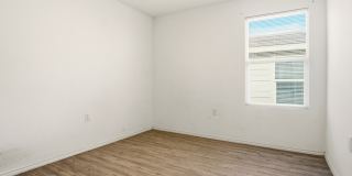4438 ZOE PASS Gallery 21