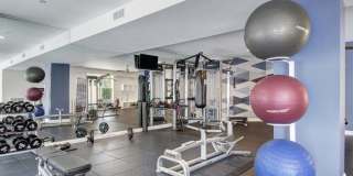 The Royal Belmont Gallery 16