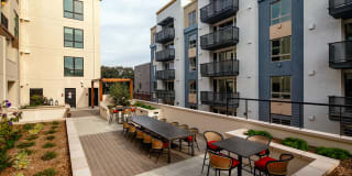 Azara Gallery 8