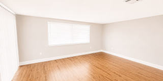 Charming 2BD/2BTH Updated Home in Port Richey Gallery 7