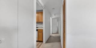 15 Longworth Ave Gallery 5