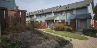 Pacific Vista Gallery 16