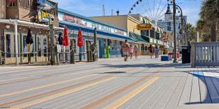 Hudson Carolina Forest Gallery 45