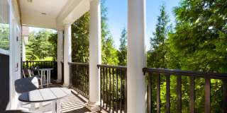 The Point at Still River Gallery 13