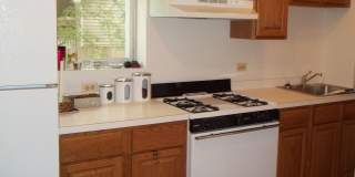 Beautiful 1 Bed Apartment in North Center/ Ravenswood Area Available September 1st Gallery 29