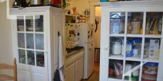 Nice 1 bed in Allston Gallery 13