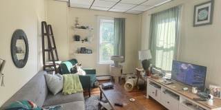 6 Reed Ct. Gallery 4