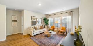 Emblem Renata Gallery 2