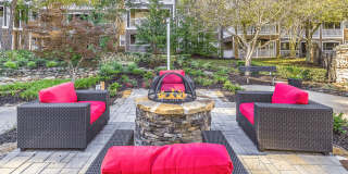 Affordable Housing - Elan at Mallard Creek Apartment Homes Gallery 16