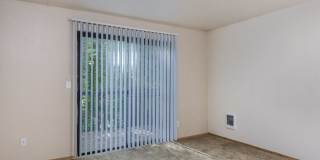 Forest Ridge Gallery 31