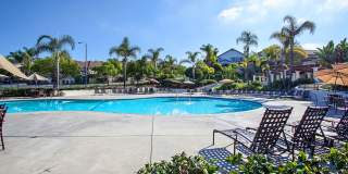 Gorgeous Large Furnished Home in the Gated Community of San Joaquin Hills! Gallery 37