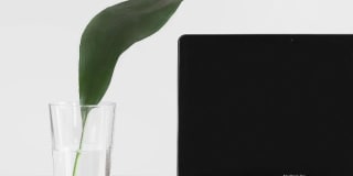 Park Kiely Gallery 27