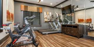 RIZE at Winter Springs Gallery 15