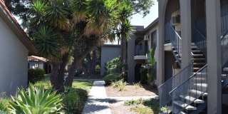Vio Cerritos Gallery 6