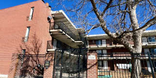 Studio Apartment in Denver - Ground Level - Move-In Special Gallery 1