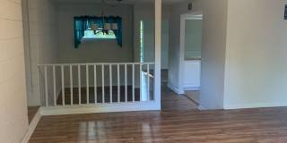 Updated 3 bedroom 2 bath in NW Gainesville Gallery 5