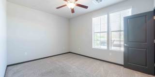 Ironwood at Happy Valley Gallery 42