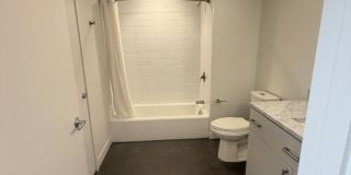 Beautiful Apartment in Allston Gallery 9