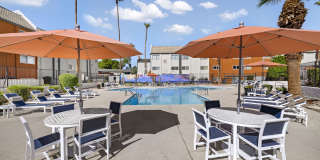 The Halston Gallery 19