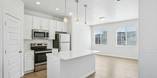 Carrington Square Gallery 66