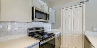 Rise Fossil Creek Gallery 65