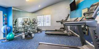 Ariel Springs Gallery 14