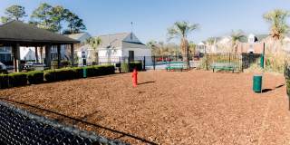 4426 Gold Flower Loop - 3D2 Gallery 12