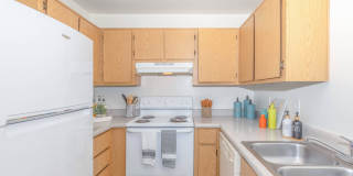 Metro Tucson Gallery 54