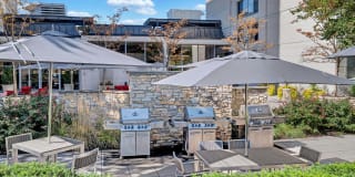 Crystal Plaza Apartments Gallery 4