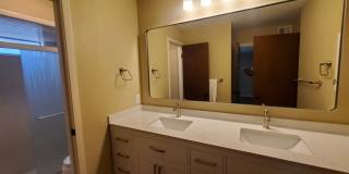 4318 WINDSWEPT Gallery 20