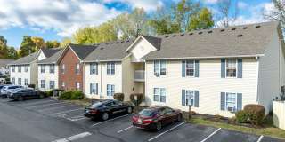 Forest View Gallery 11