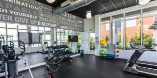 Veridian Shores Gallery 39