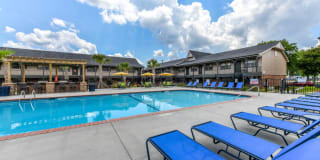 The Lory of Savannah Gallery 10