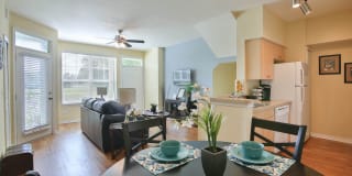 Springs at Palma Sola Gallery 35