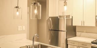 The Peacock Gallery 2