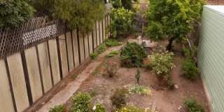 Beautiful rehabbed Mid-Century single family home Gallery 16