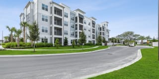 Bainbridge Avenues Walk Gallery 2